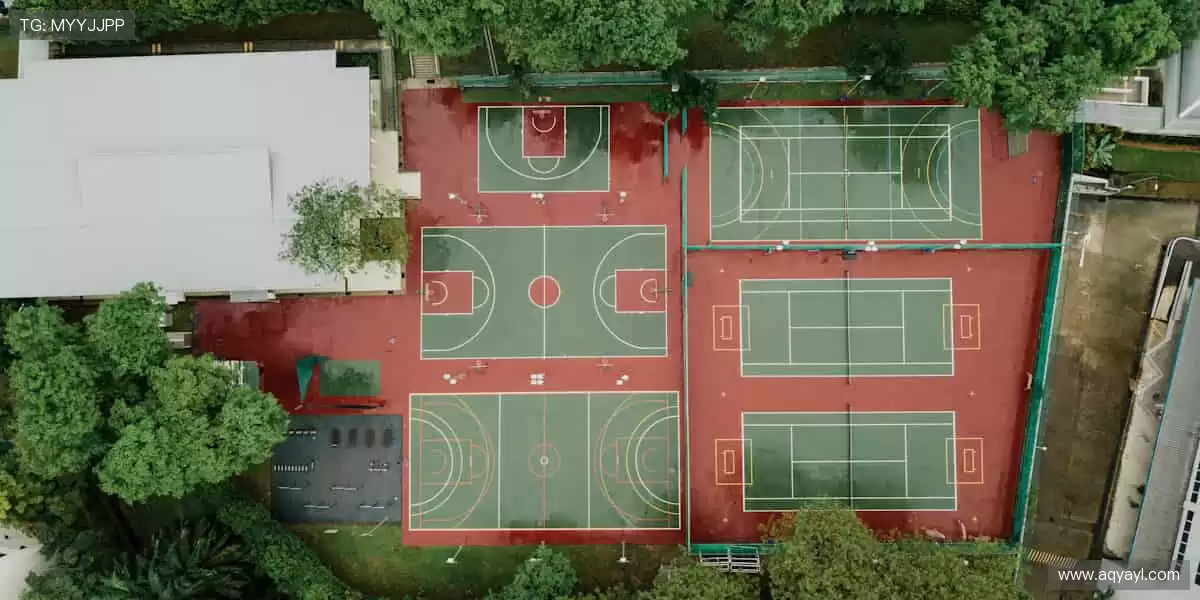 🏆全球赛事,一键直达!⚽️