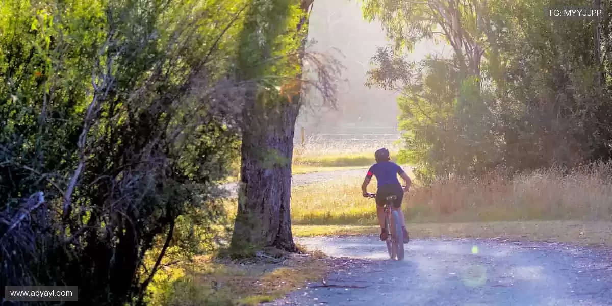 🏅赛事报名,开启你的冠军之路!